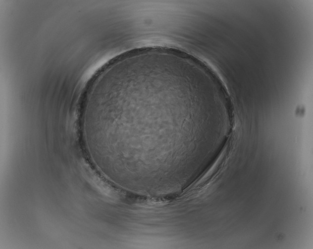 X0000111230975200907021355