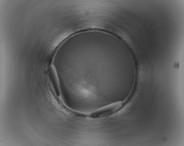 X0000111230977200907021355