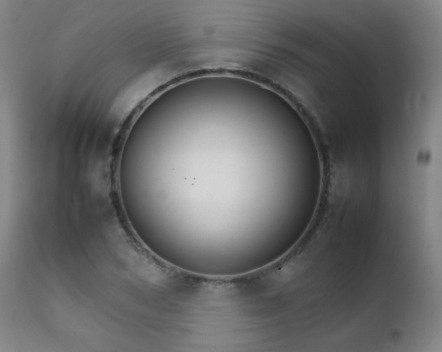 X0000111230978200907021355