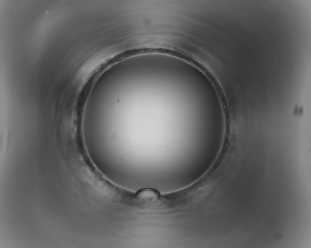 X0000111230979200907021355