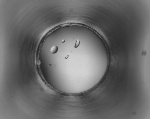 X0000111230980200907021354