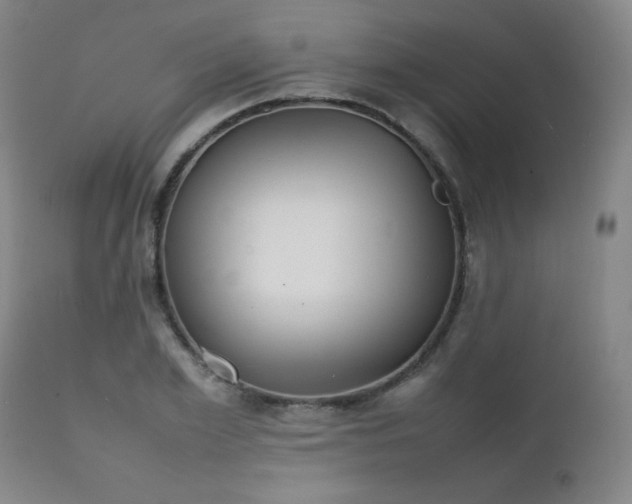 X0000111230981200907021354