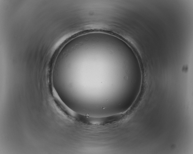 X0000111230983200907021354