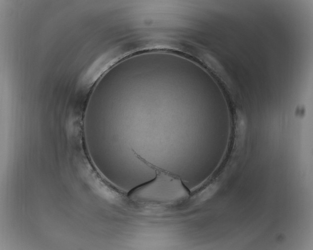 X0000111230985200907021354
