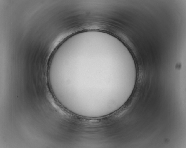 X0000111230986200907021354