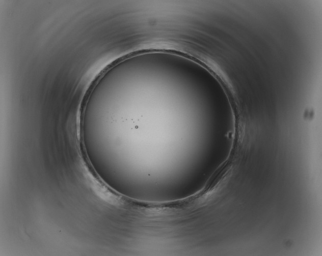 X0000111230988200907021354