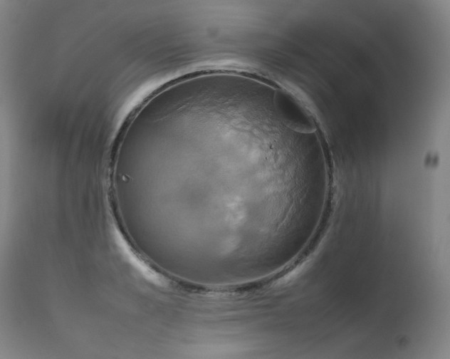 X0000111230989200907021354