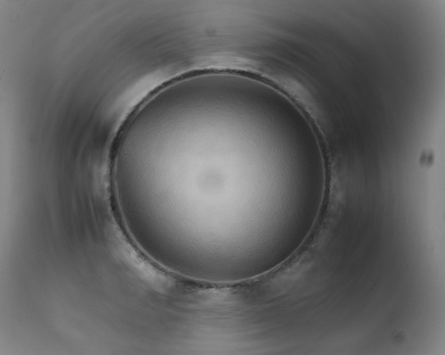 X0000111230990200907021354
