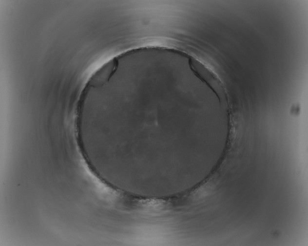 X0000111230991200907021354