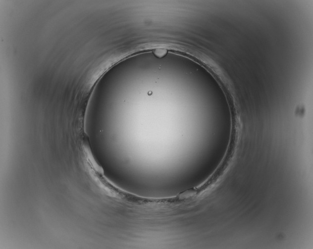 X0000111230993200907021354