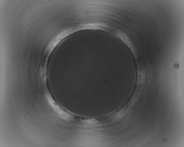X0000111230994200907021354