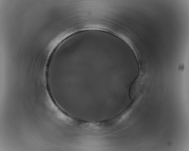 X0000111230995200907021354