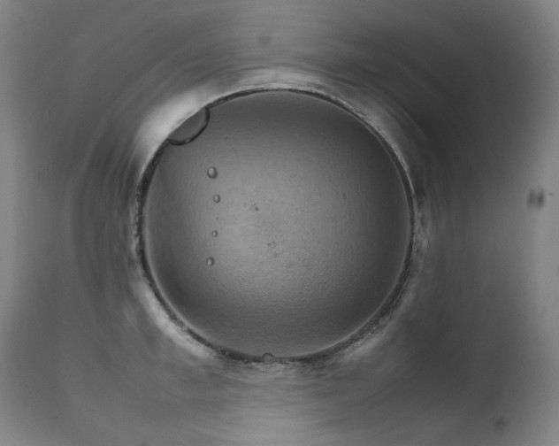 X0000111230997200907021354