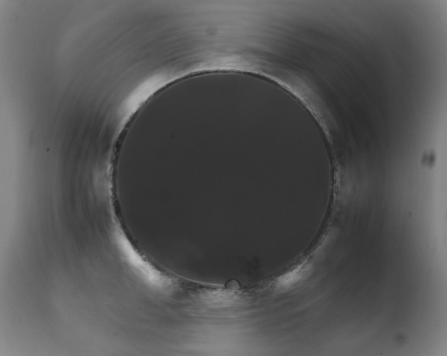 X0000111230998200907021354
