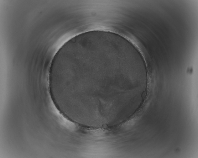 X0000111230999200907021354