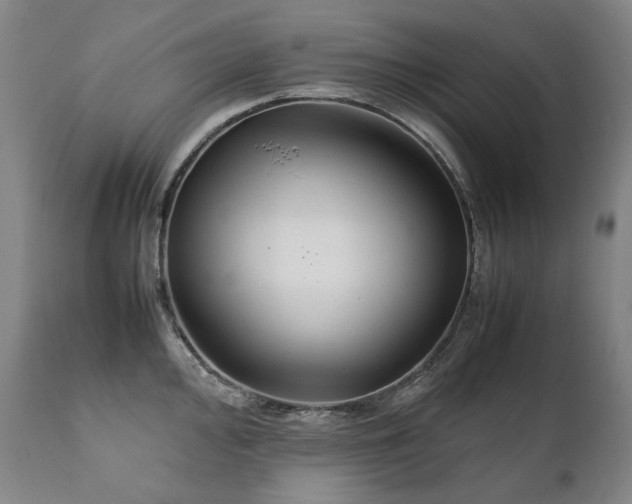 X0000111231000200907021354