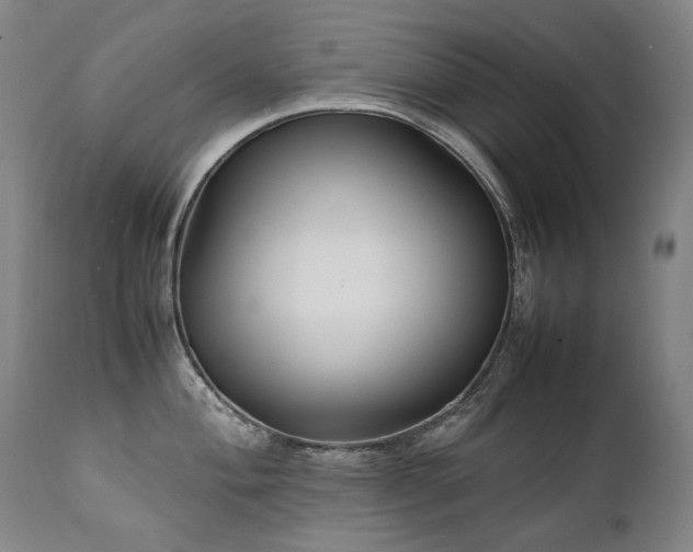 X0000111231004200907021354