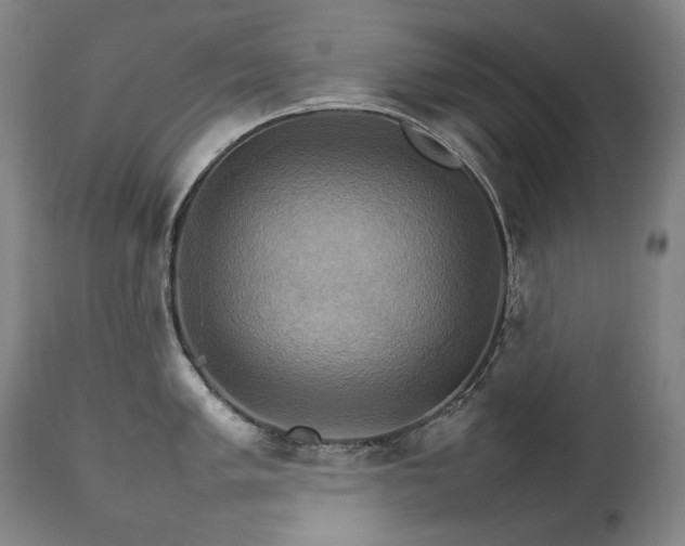 X0000111231005200907021354
