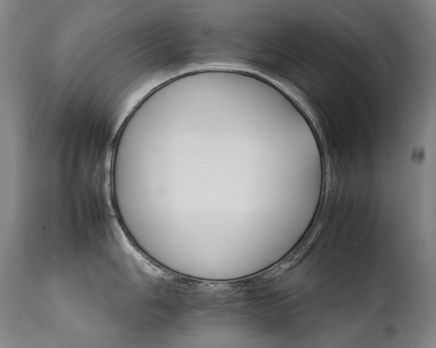 X0000111231006200907021354
