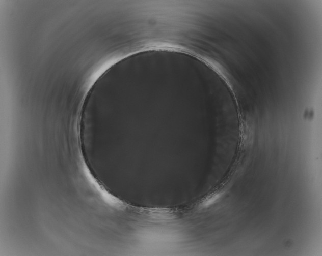 X0000111231007200907021354