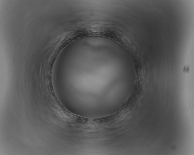 X0000111231009200907021353