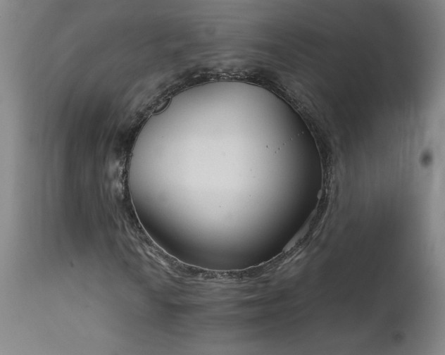 X0000111231010200907021353