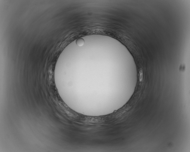 X0000111231011200907021353