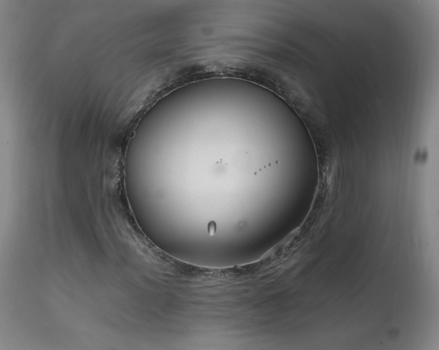 X0000111231012200907021353