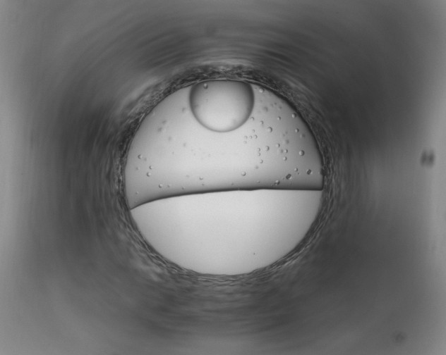 X0000111231014200907021354