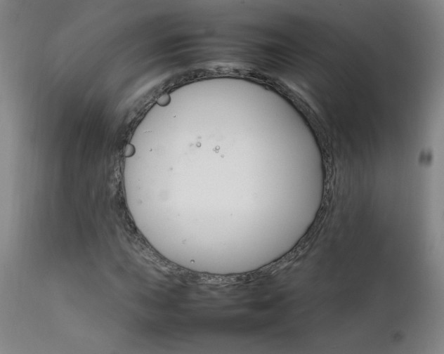 X0000111231015200907021354