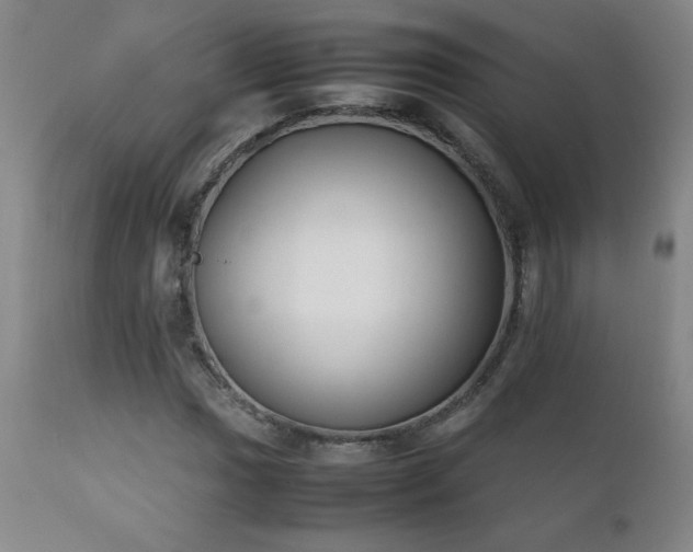 X0000111231017200907021354