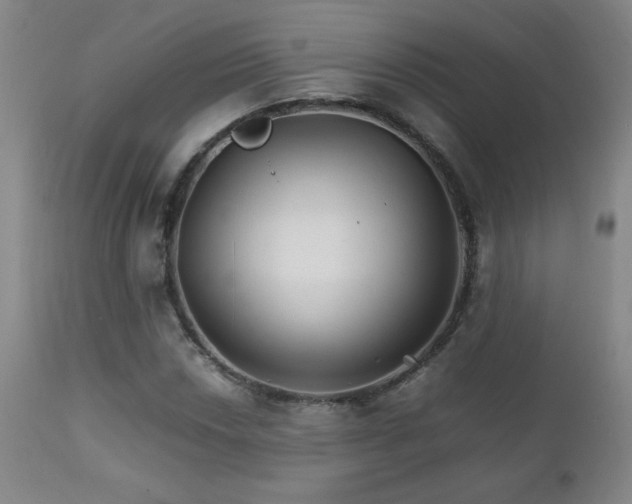 X0000111231018200907021354