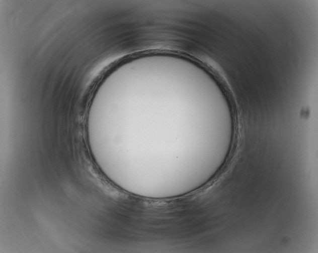 X0000111231019200907021354