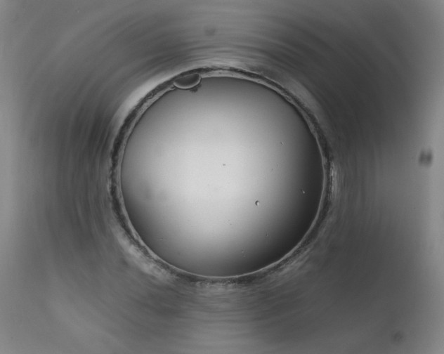 X0000111231020200907021354
