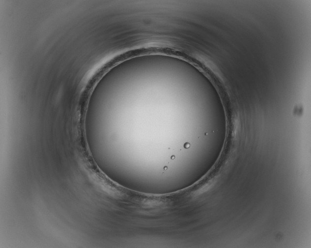 X0000111231021200907021354