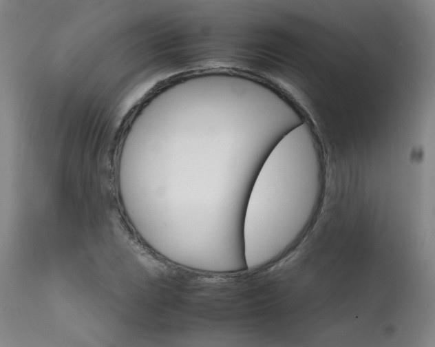 X0000111231023200907021354