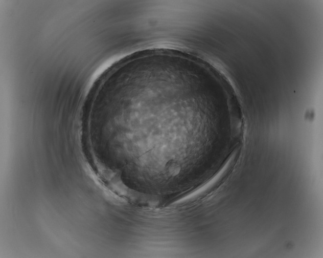 X0000111231024200907021354