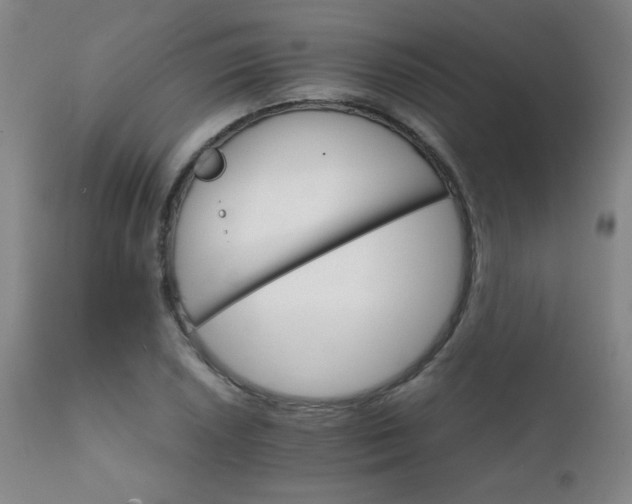 X0000111231026200907021354