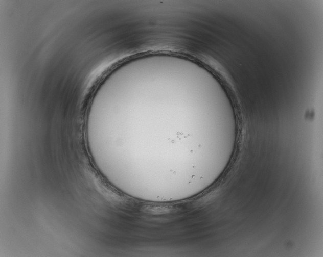 X0000111231027200907021354