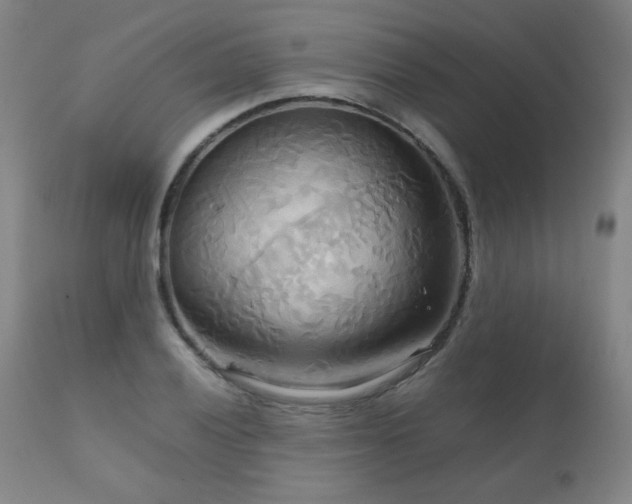 X0000111231028200907021354