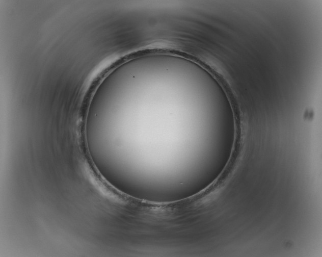 X0000111231029200907021354