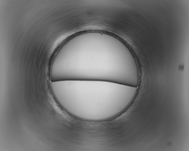 X0000111231030200907021354