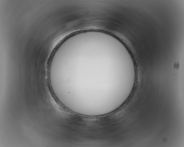 X0000111231031200907021354