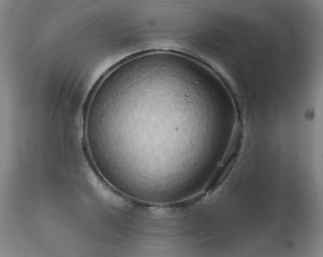 X0000111231032200907021354