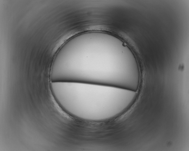 X0000111231033200907021354