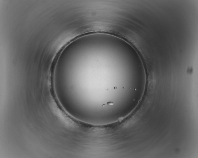 X0000111231034200907021354