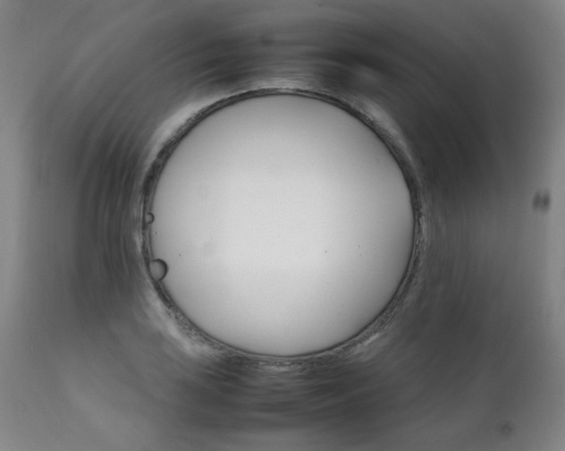 X0000111231035200907021354