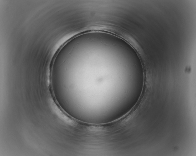 X0000111231036200907021354