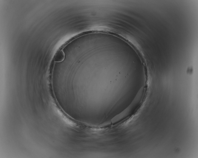 X0000111231037200907021354