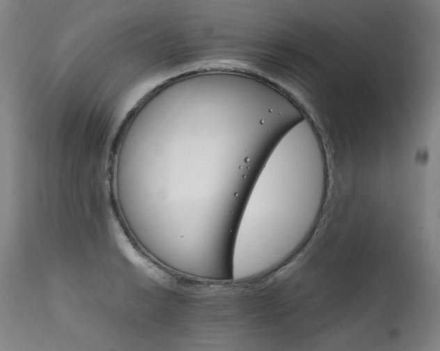 X0000111231038200907021354